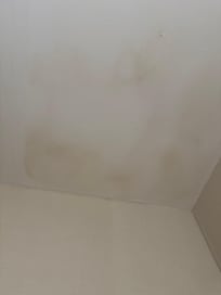 Bathroom ceiling