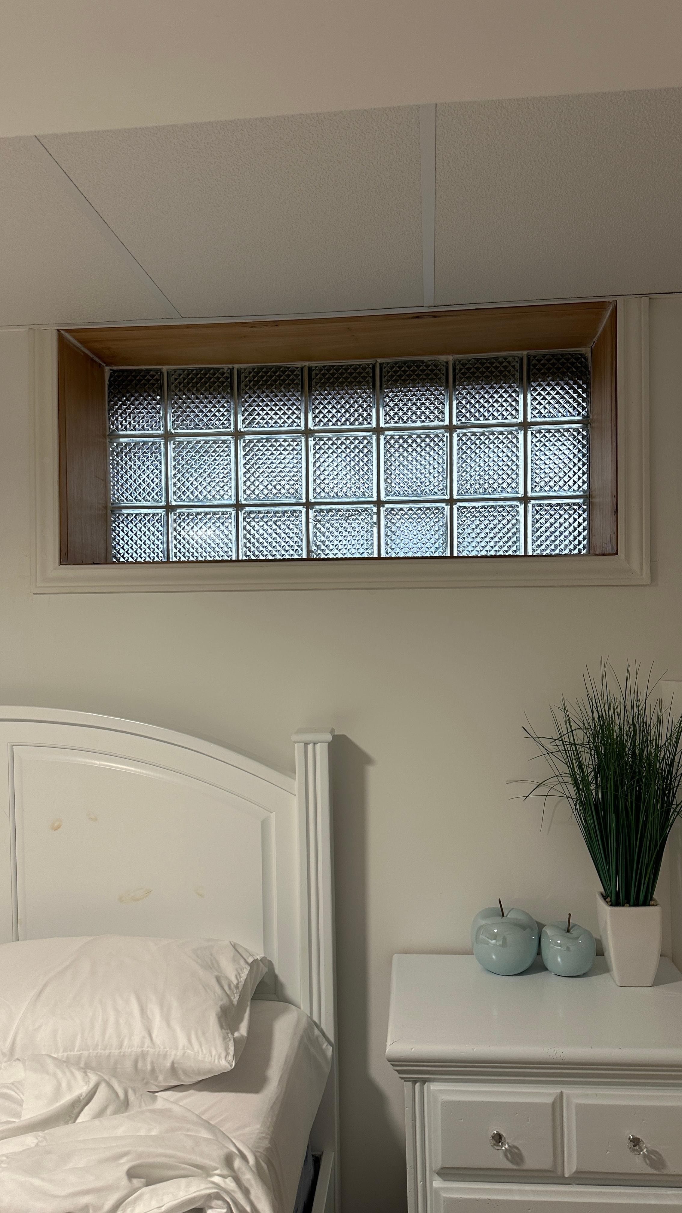 Block window with no ability to open. Only window from the downstairs bedroom. 