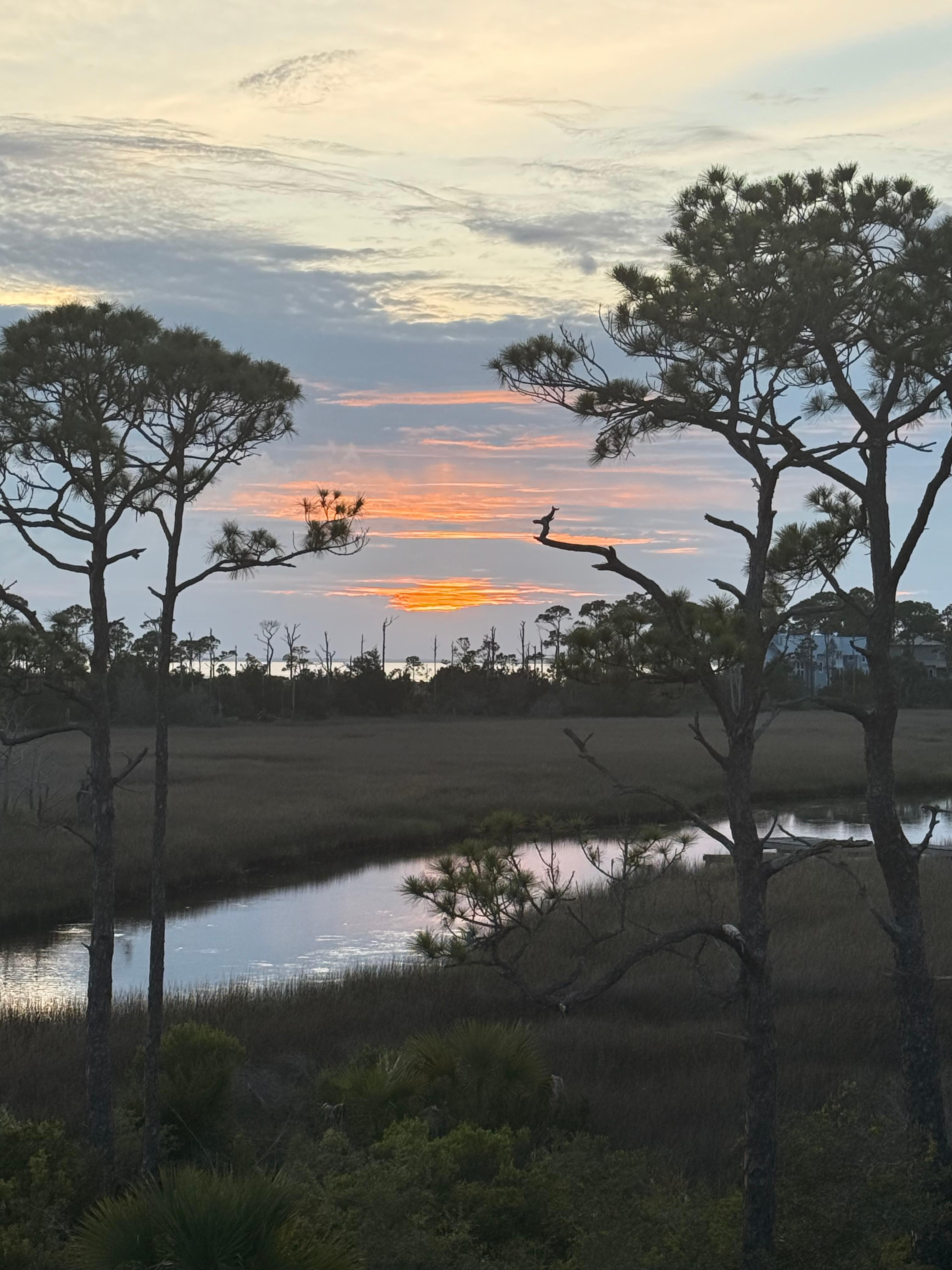 Beautiful sunsets out back 