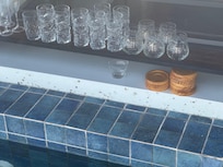 Enjoy the warm pool and see some dead insects