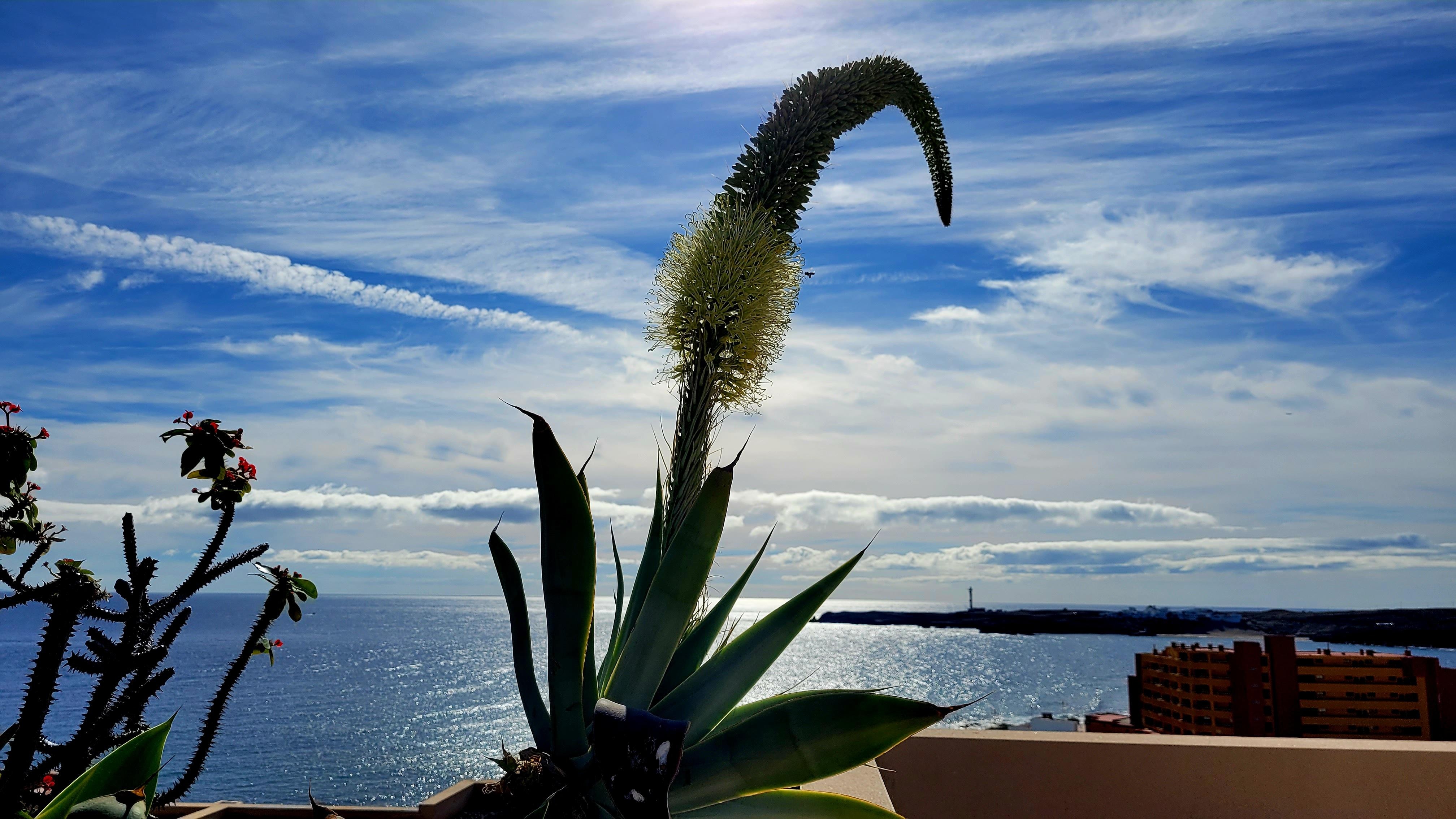 Toller Blick von der Terrasse auf Poris und das Meer. 