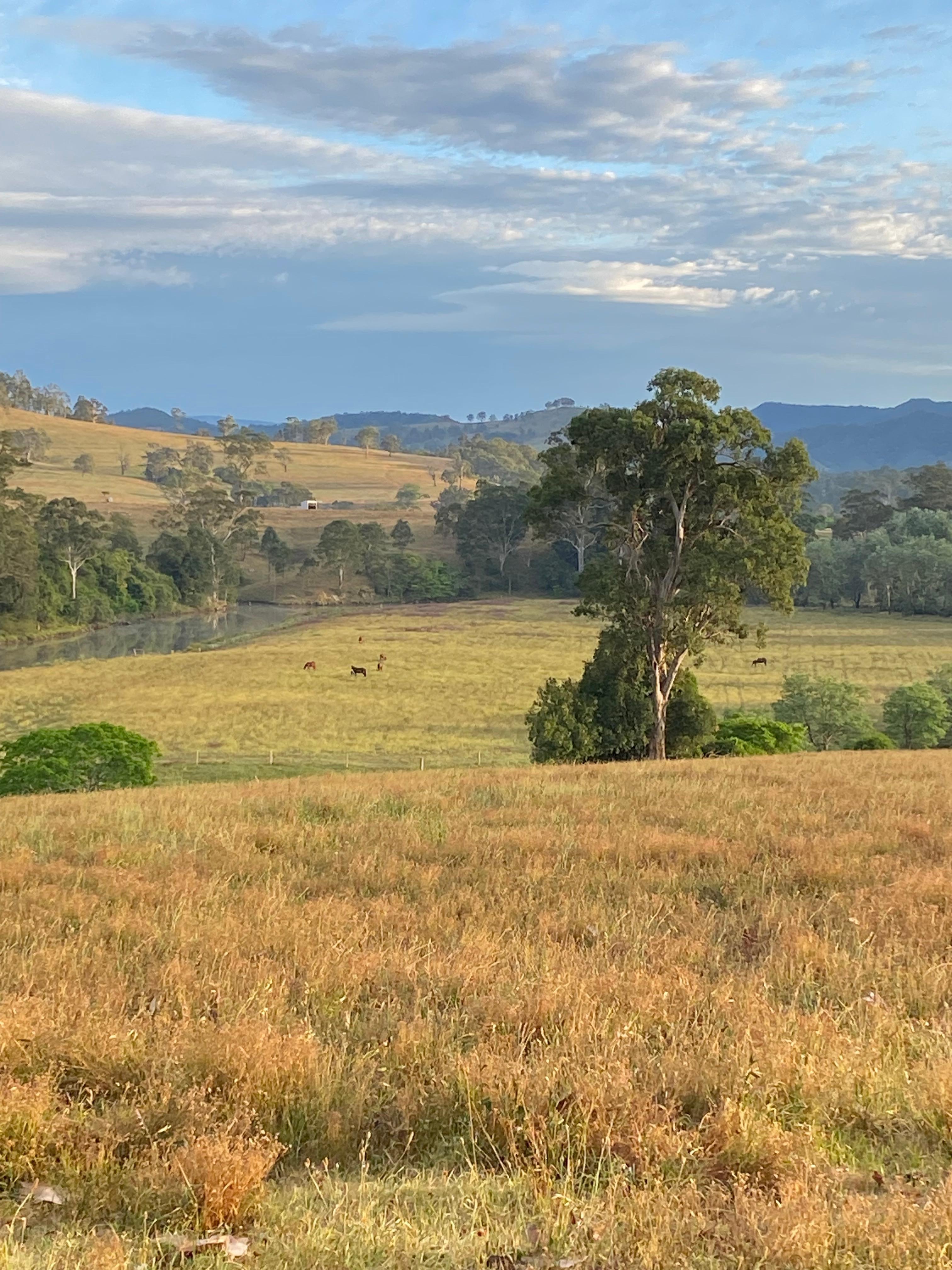 Amazing view from the verandah