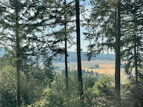 View from the living room