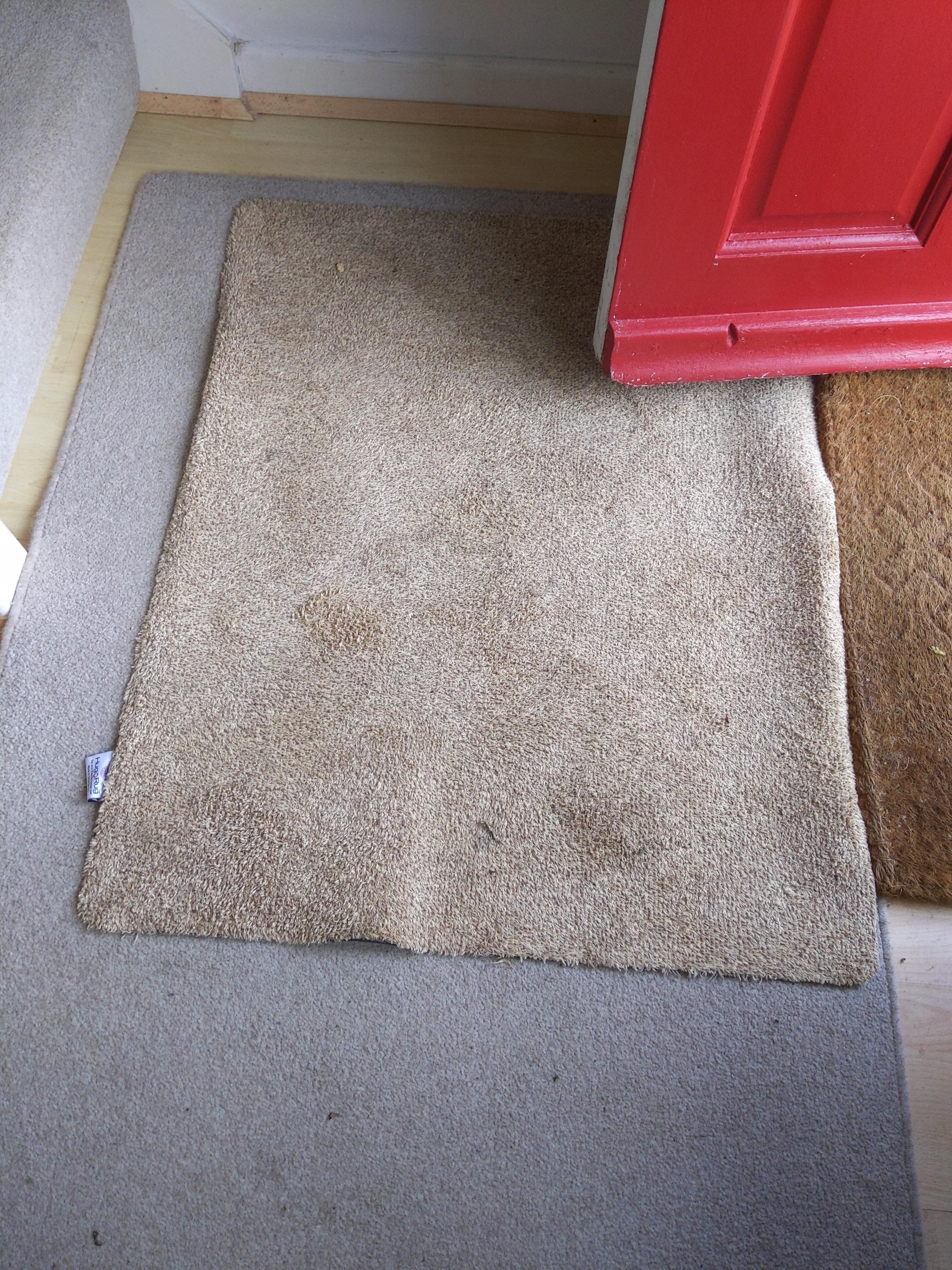 Dirty carpets on arrival 