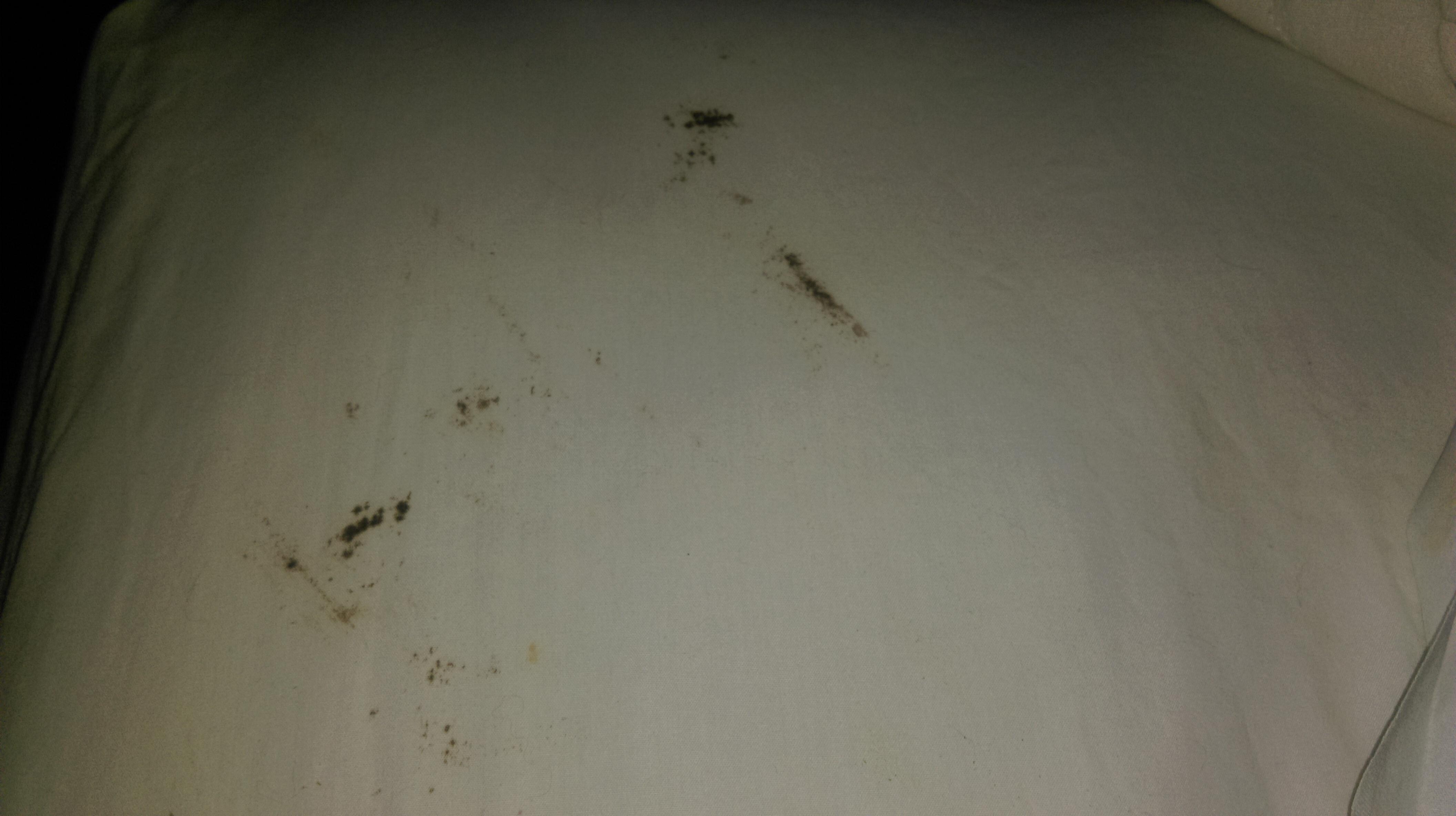 These are the blood stained sheets!