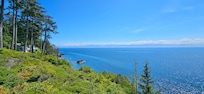 View from the deck looking East
