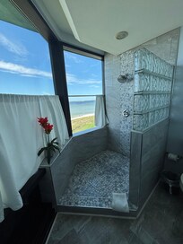 Master bathroom shower