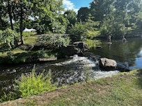 Stewart Park