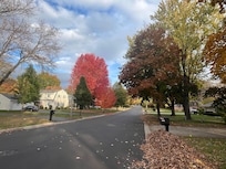 Fall foliage