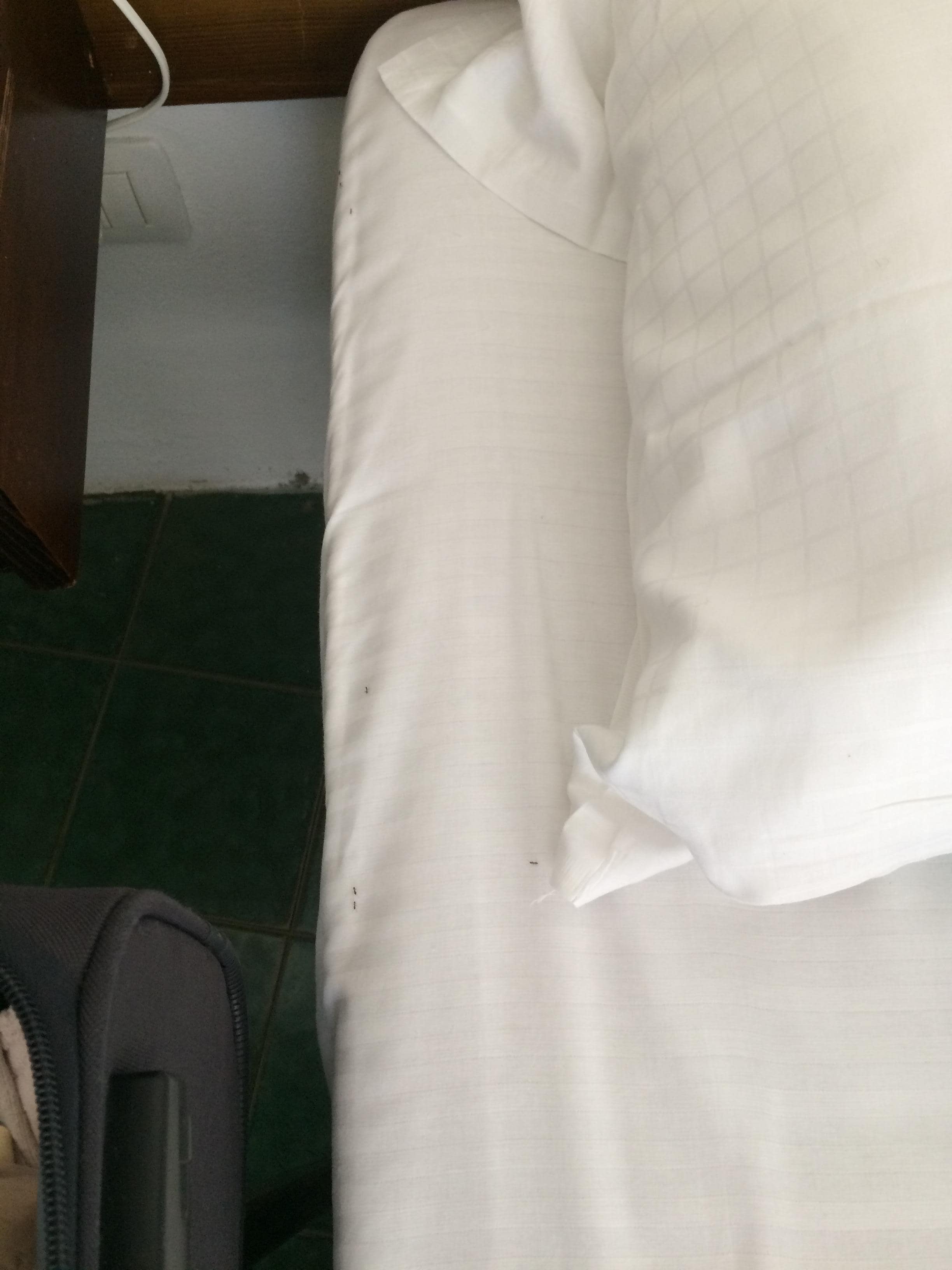 Ants on the bed