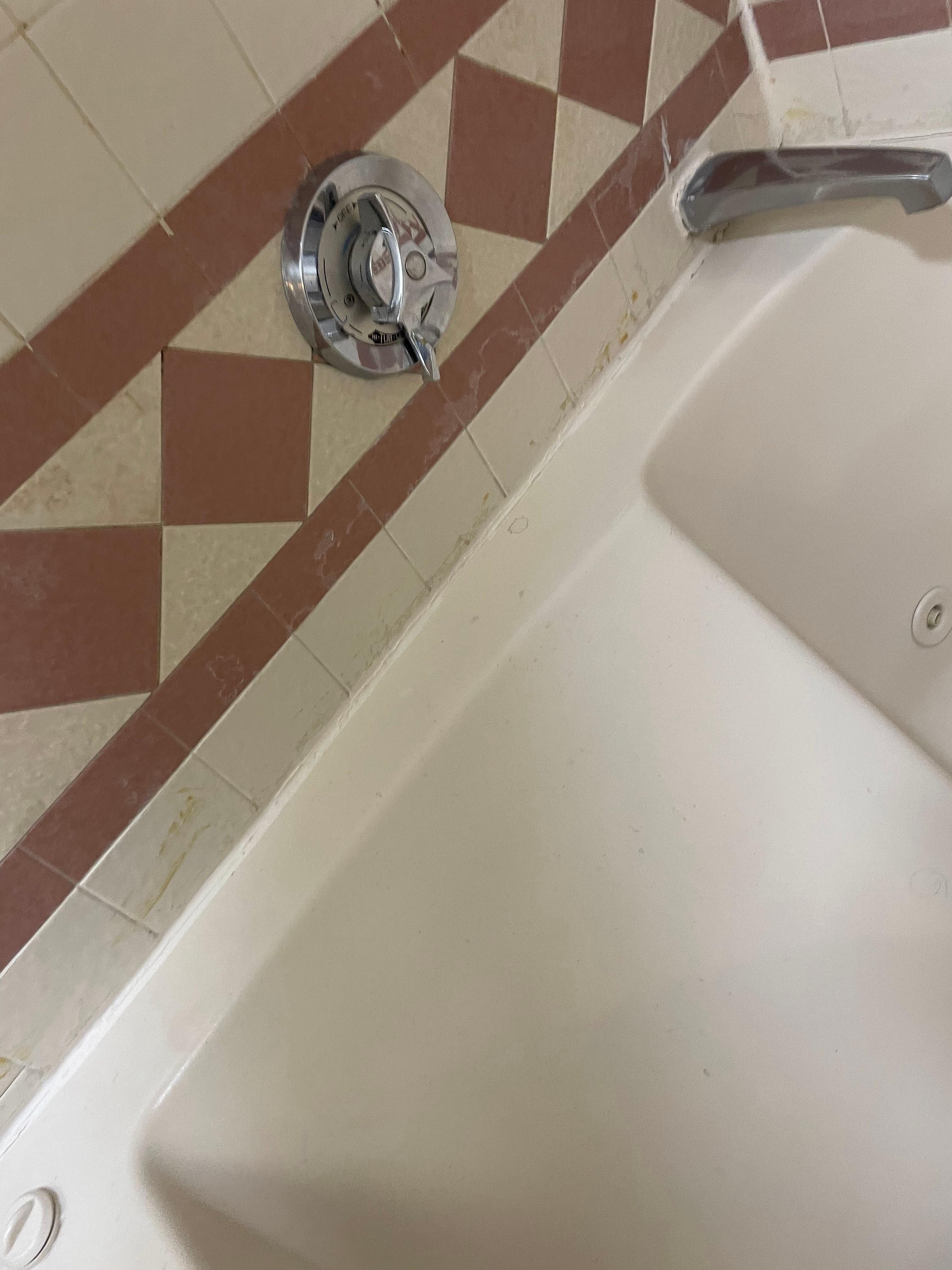 Jacuzzi in the Victoria Suite which was not cleaned properly.