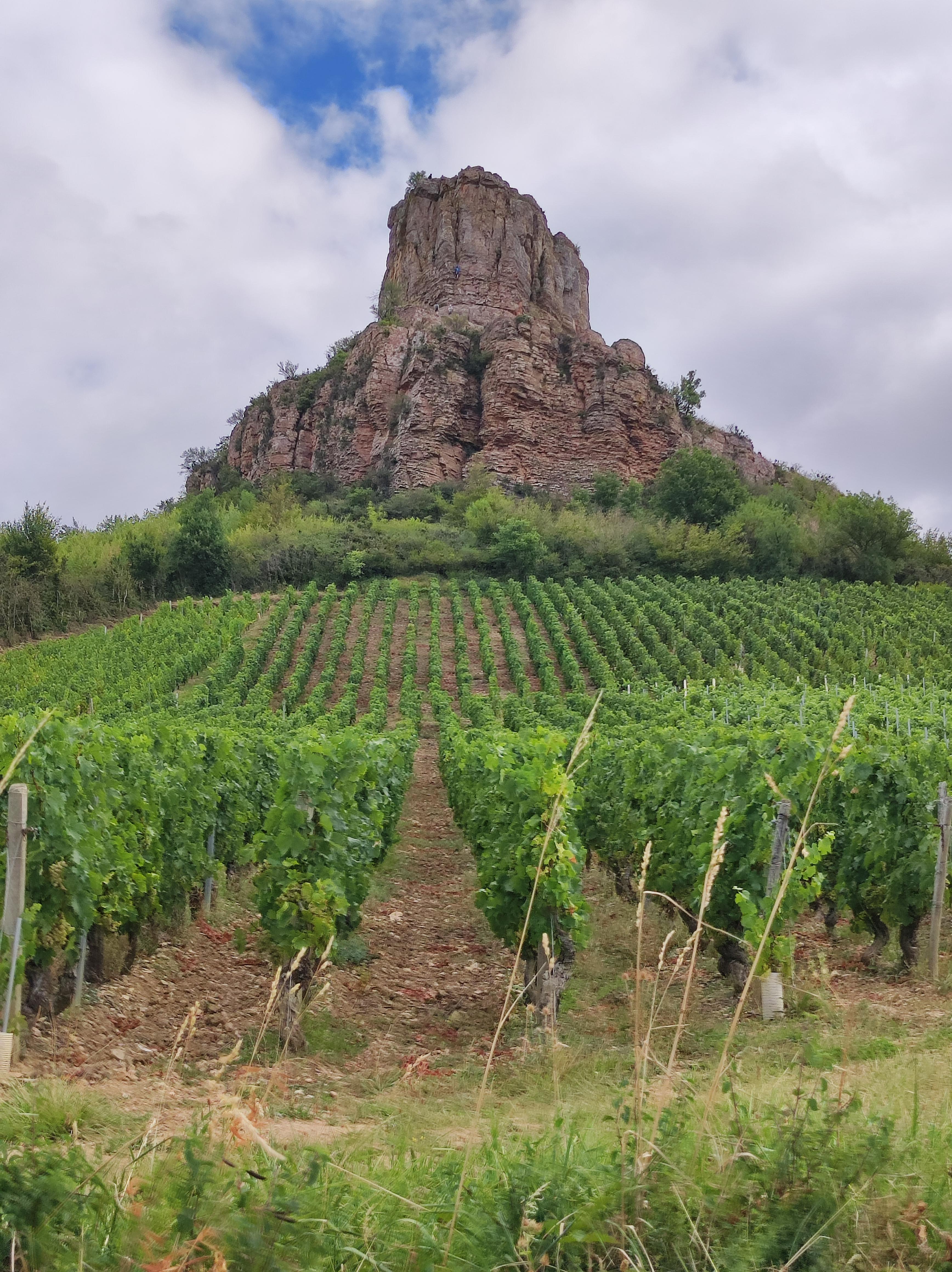 Au coeur du Beaujolais 