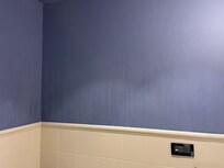 Bagno con aspirazione non funzionante e vedendo le preti da sempre.