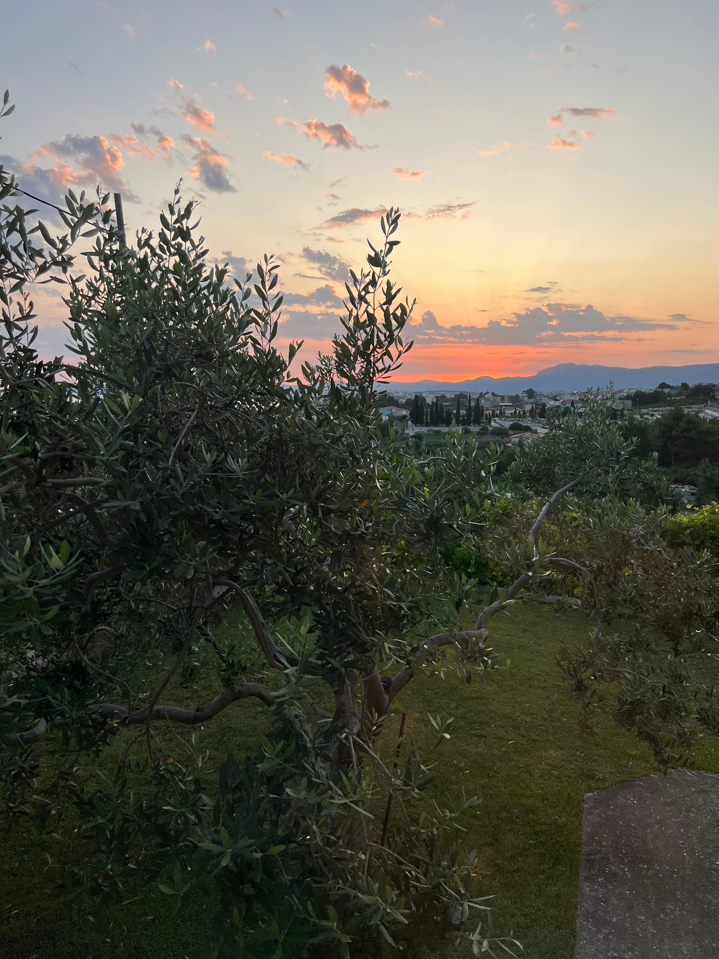 sun set from balcony ground floor. 