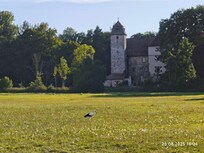 Schlossblick von Terasse mit Storch!