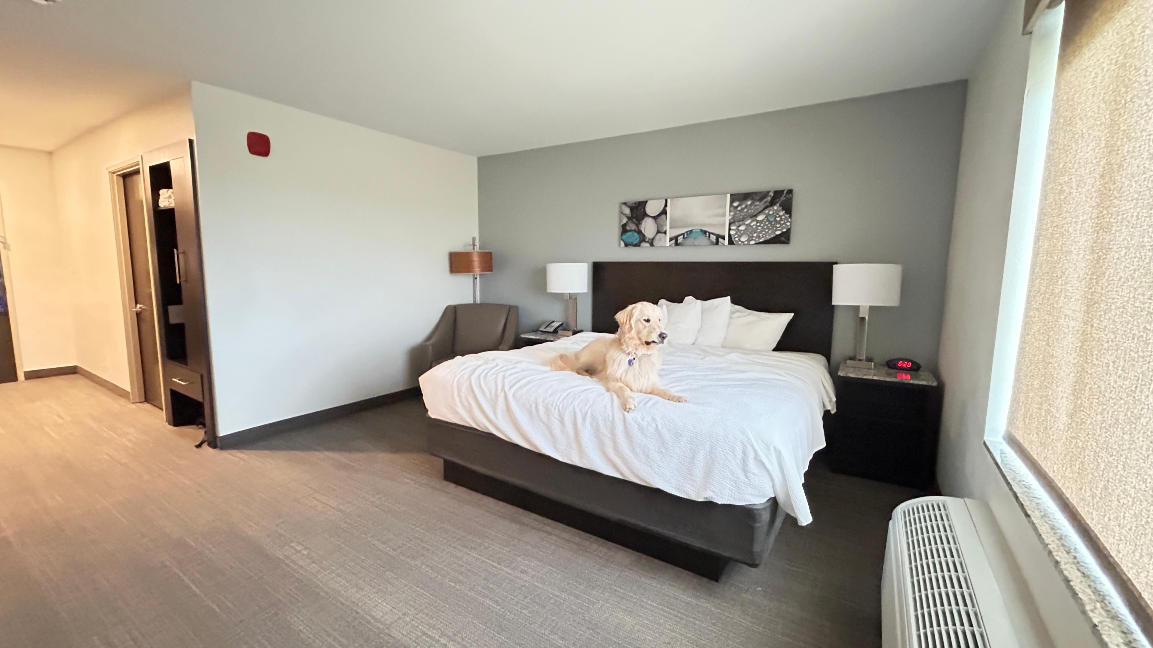 Dogs are allowed with a fee. However, service dogs are free. He is my service dog.