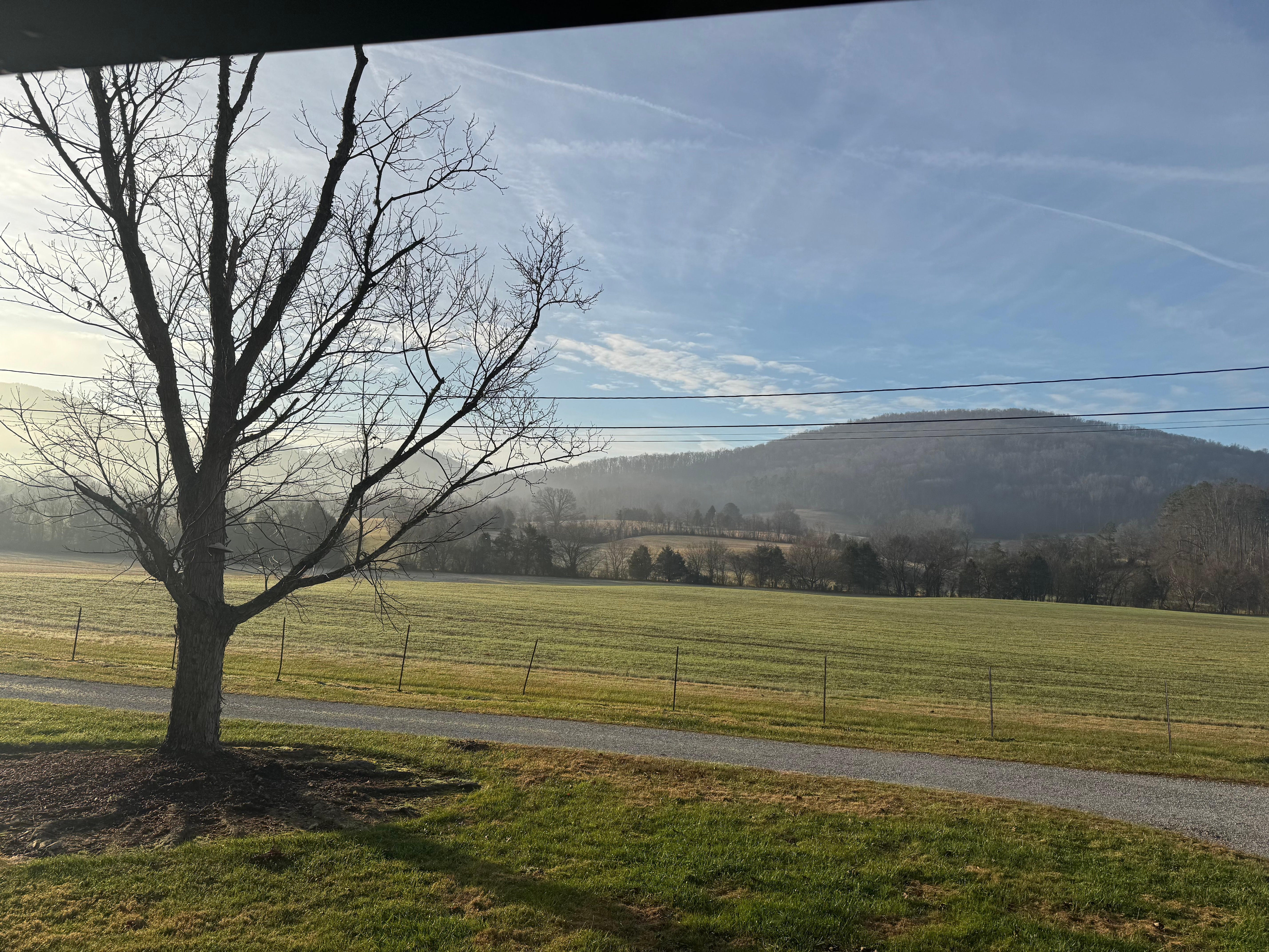 View looking out from the cabin 