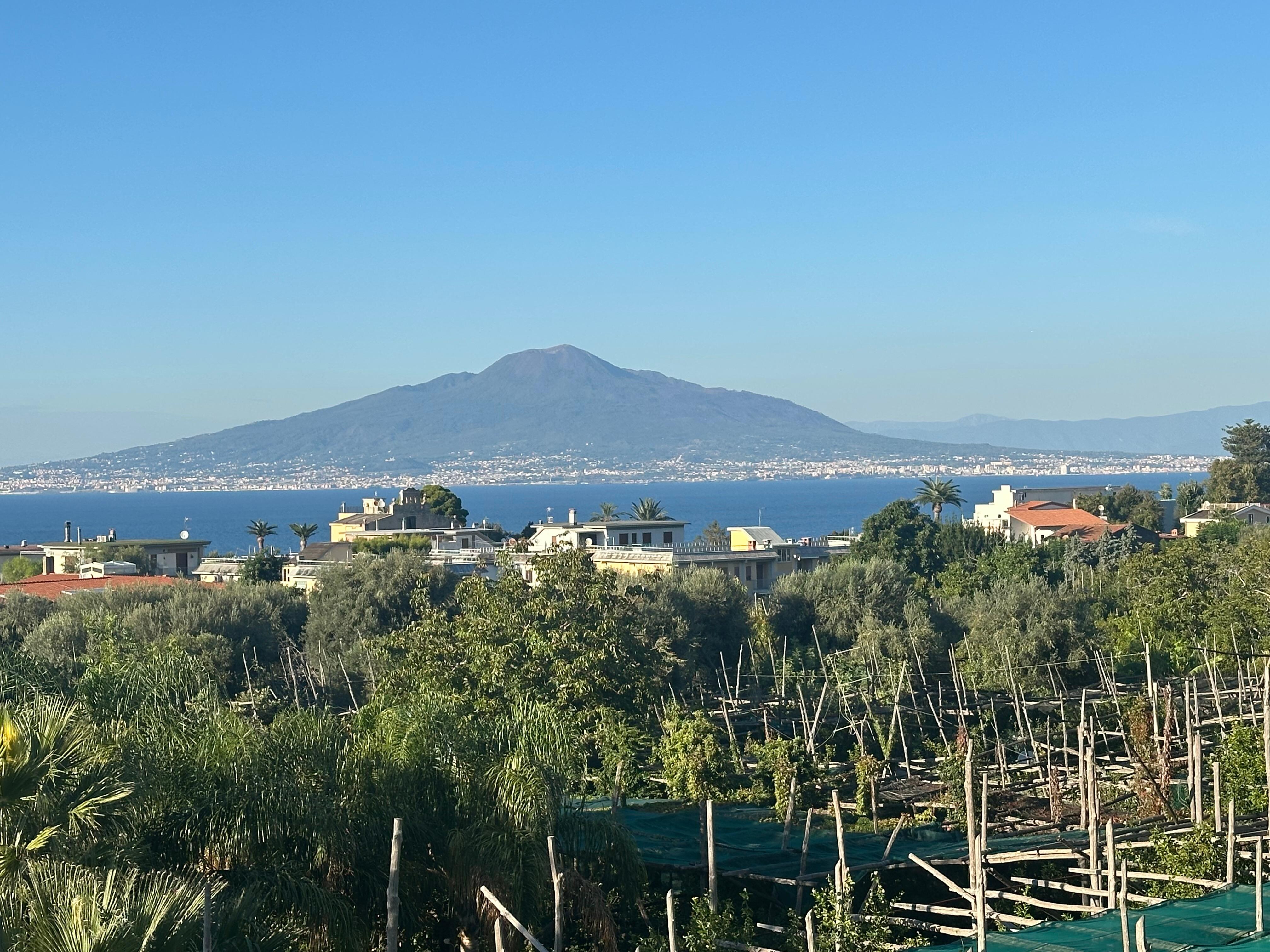 Never got tired of the view of Vesuvius 