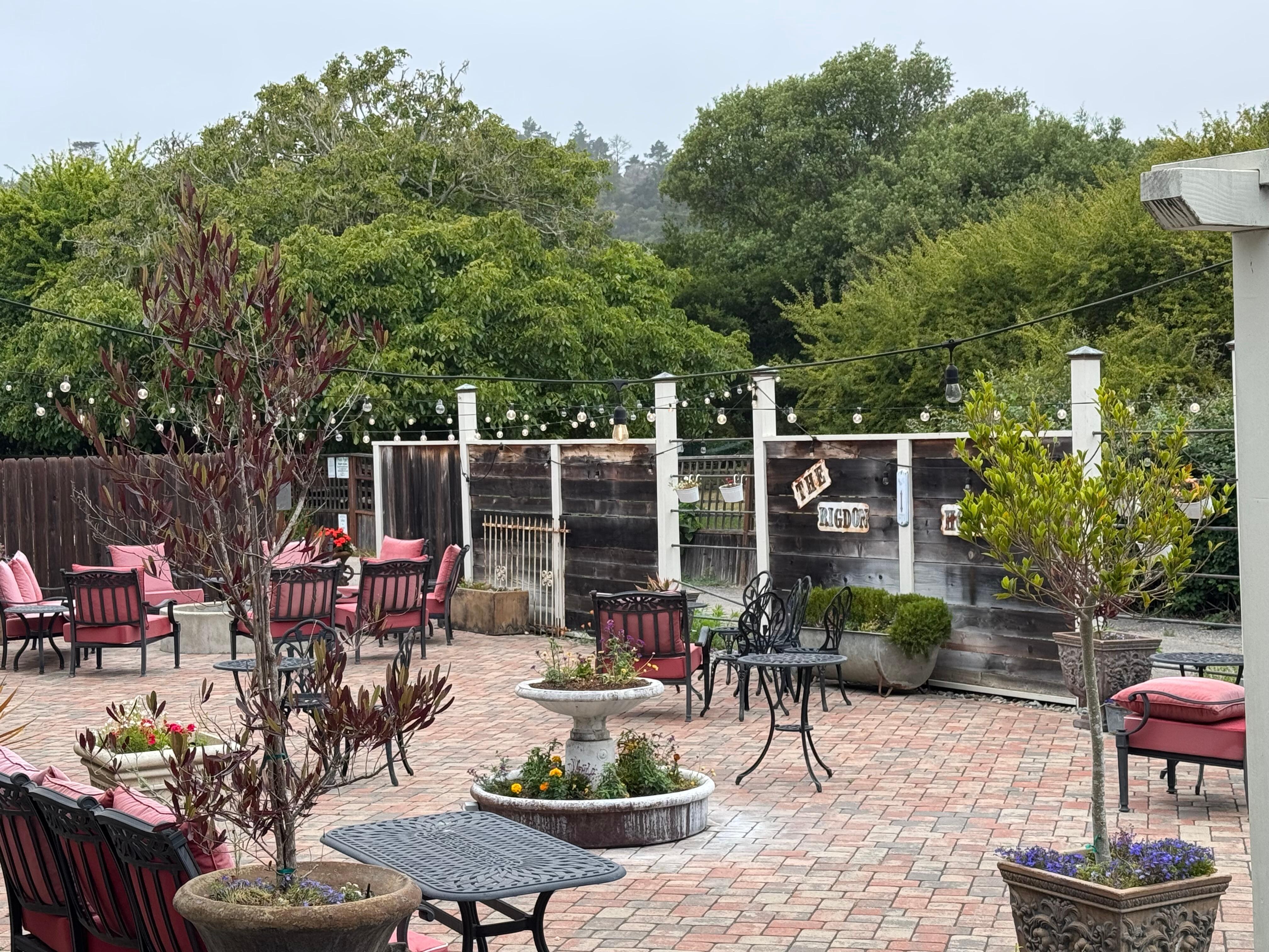 Back patio