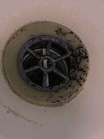Mould in shower