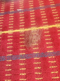 Some one else's hair!!