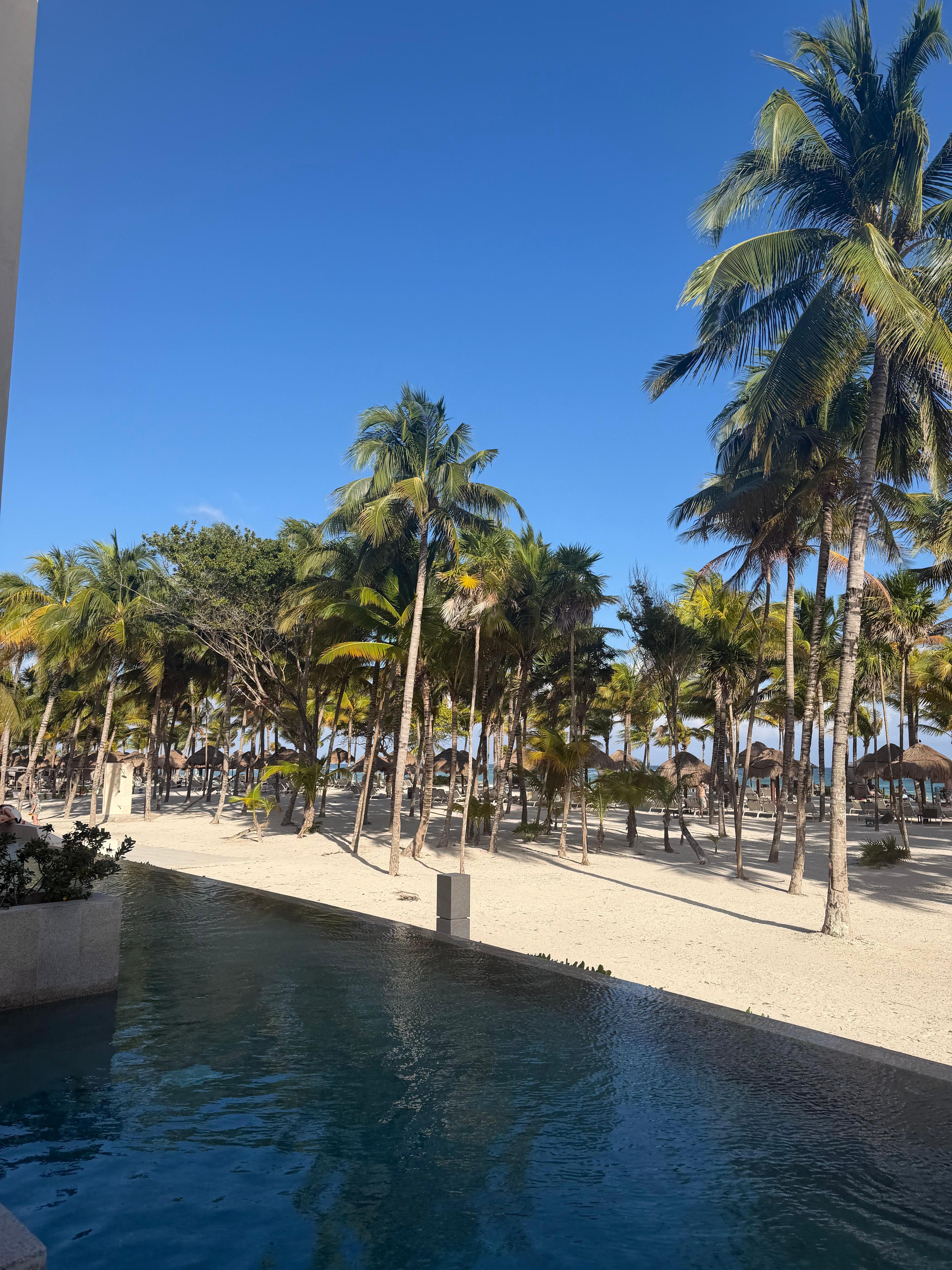 View from our swim out room