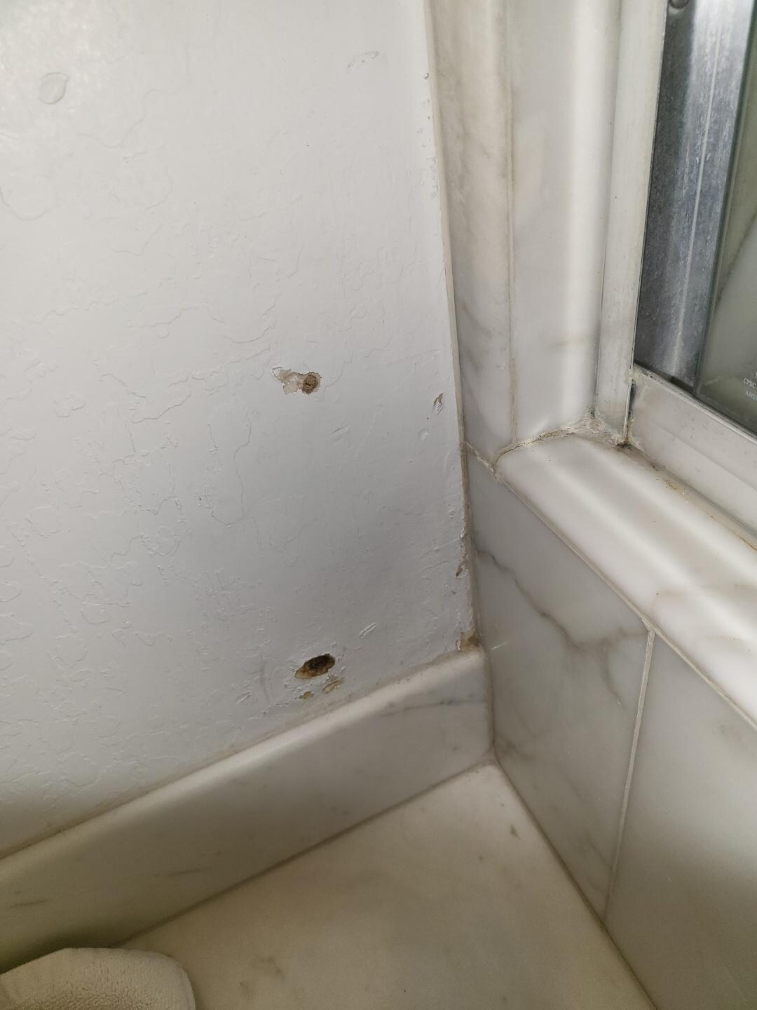 Wall next to the shower
