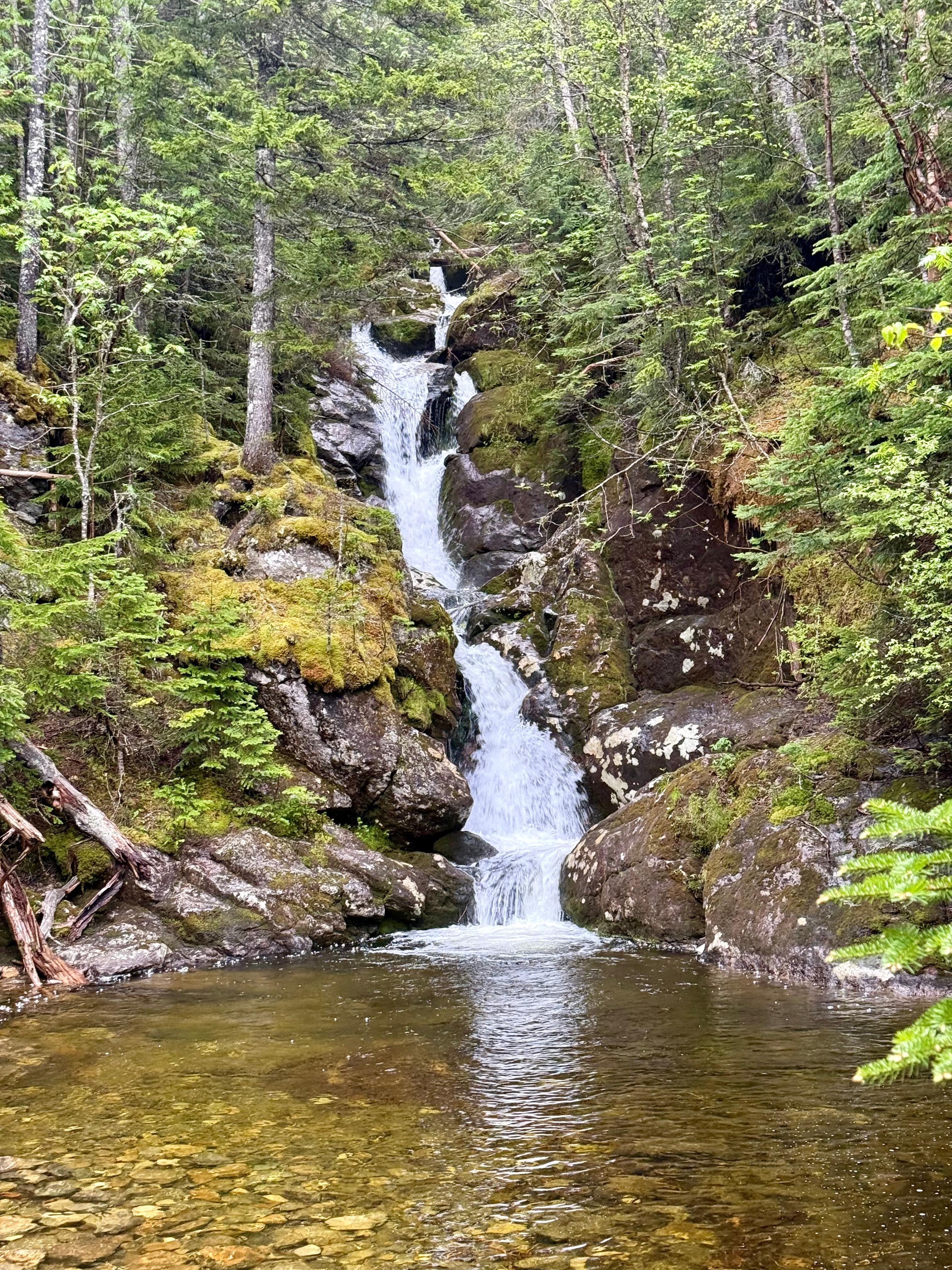 On the Ammonoosuc Trail (1)