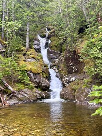 On the Ammonoosuc Trail (1)