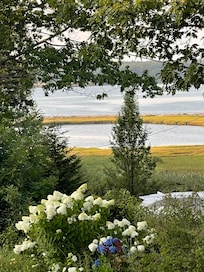 View from the house