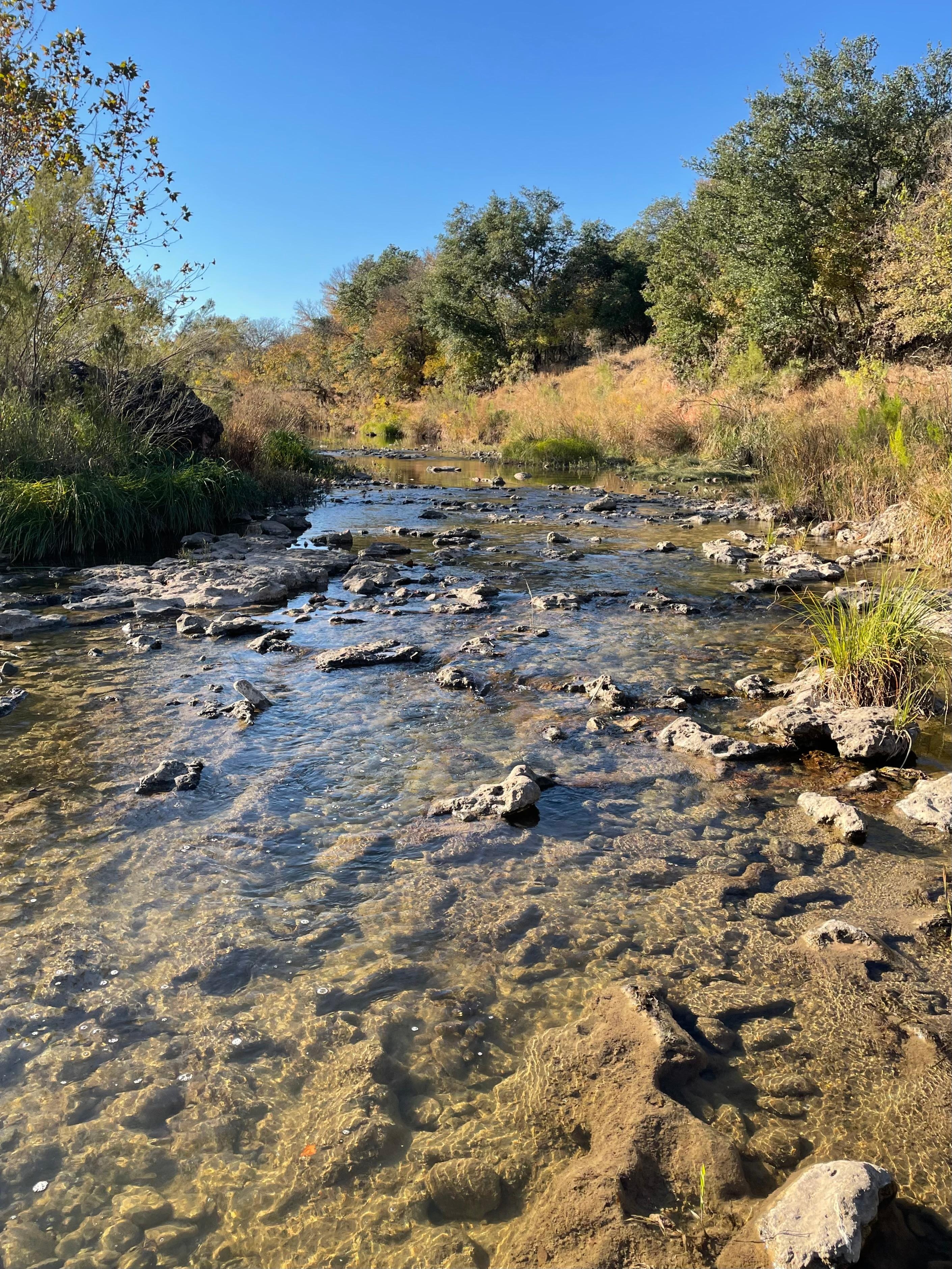 The Pedernales River down the trails. 