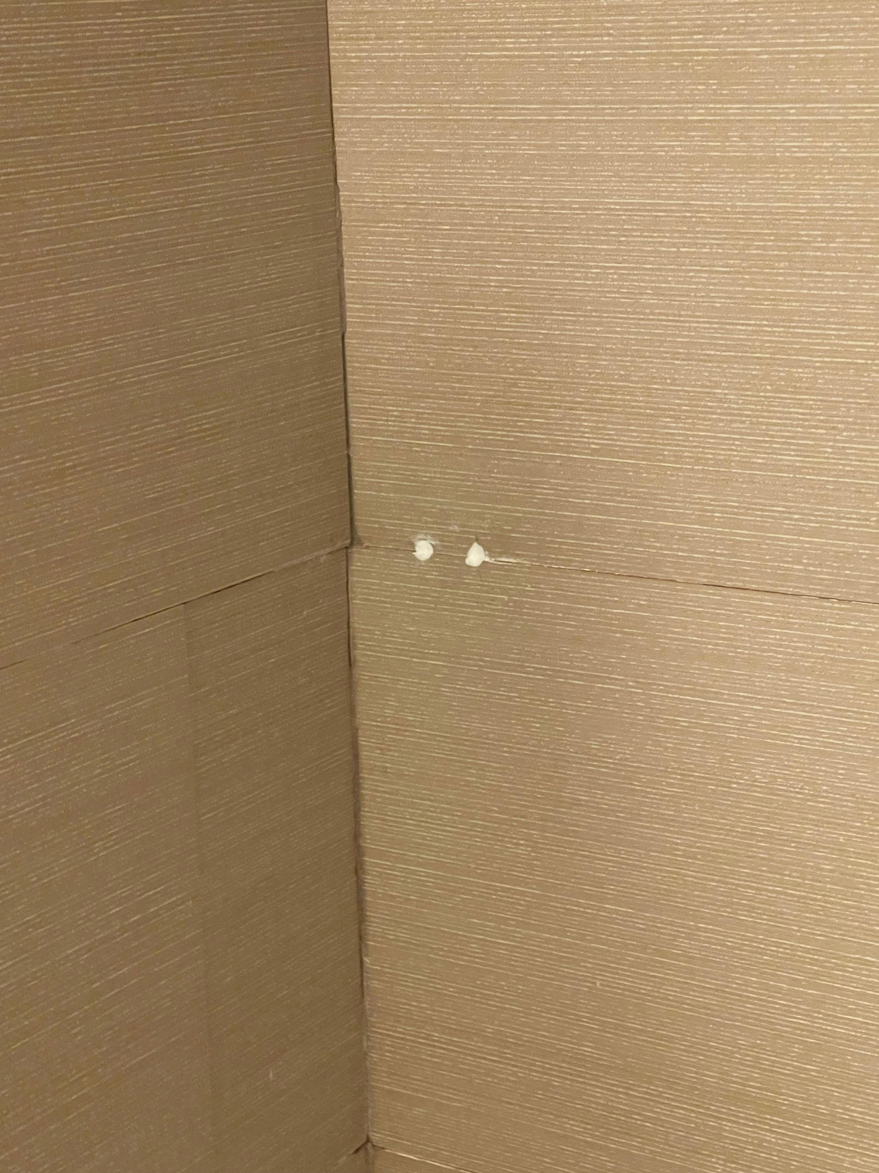 No soap dish in shower. 