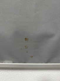 The blind in our room