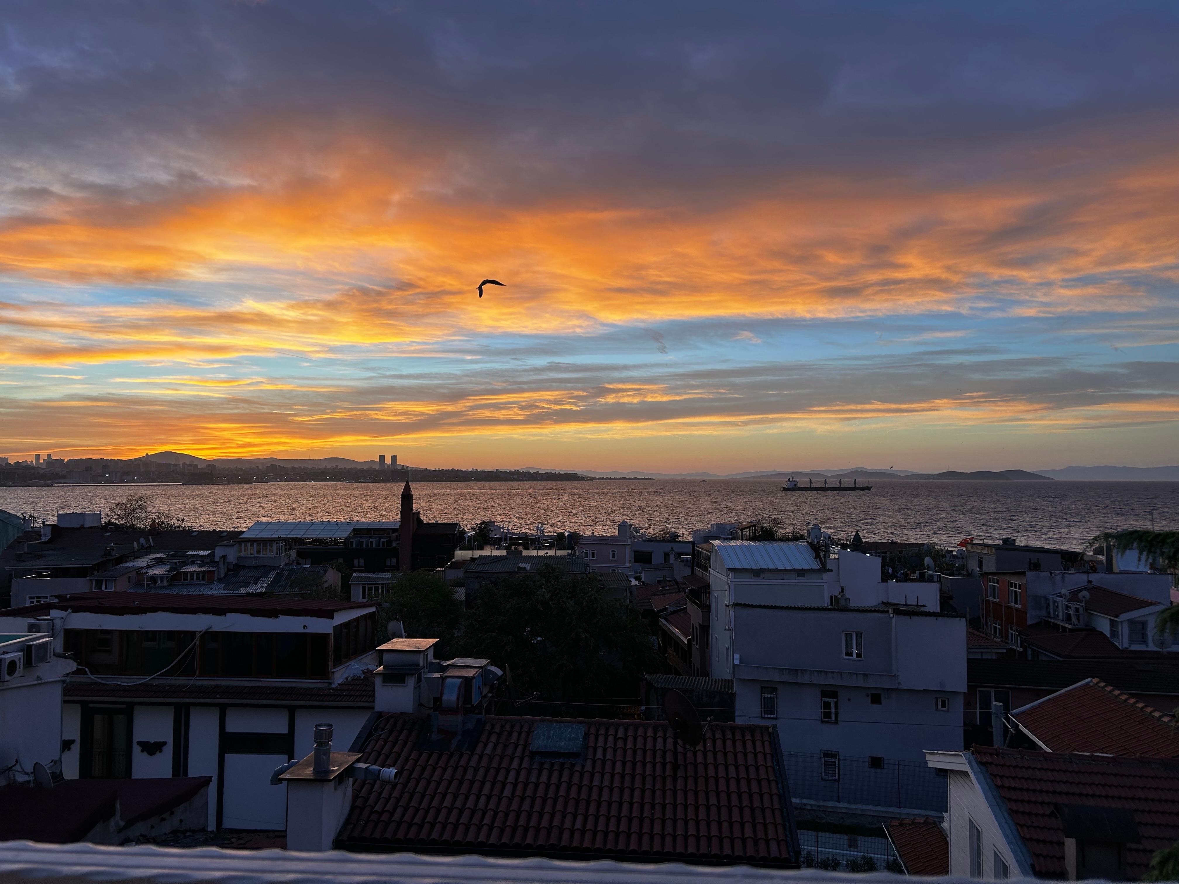 Morning view from balcony 