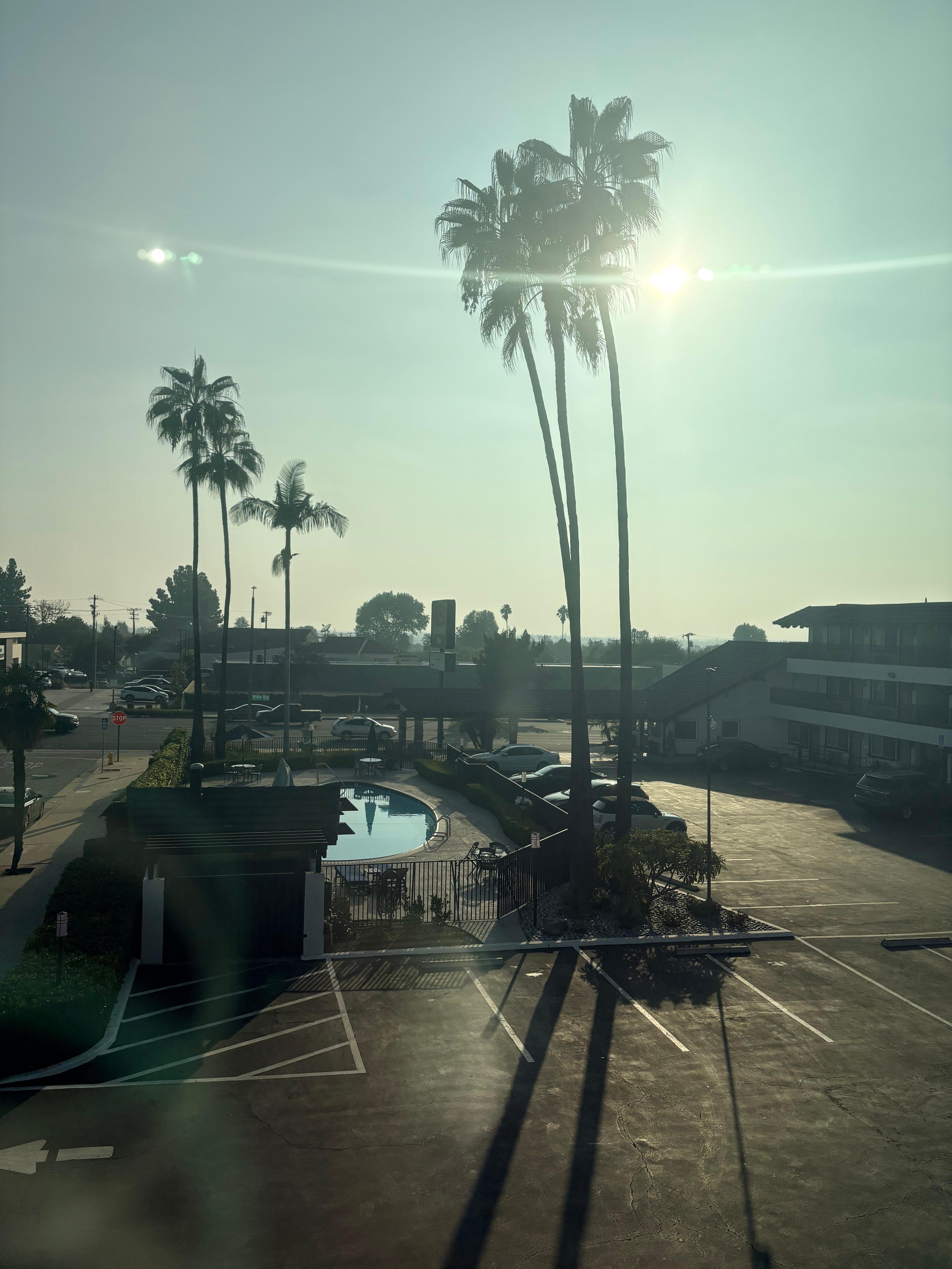 View from the room. Love that the windows open to get that cool California night breeze