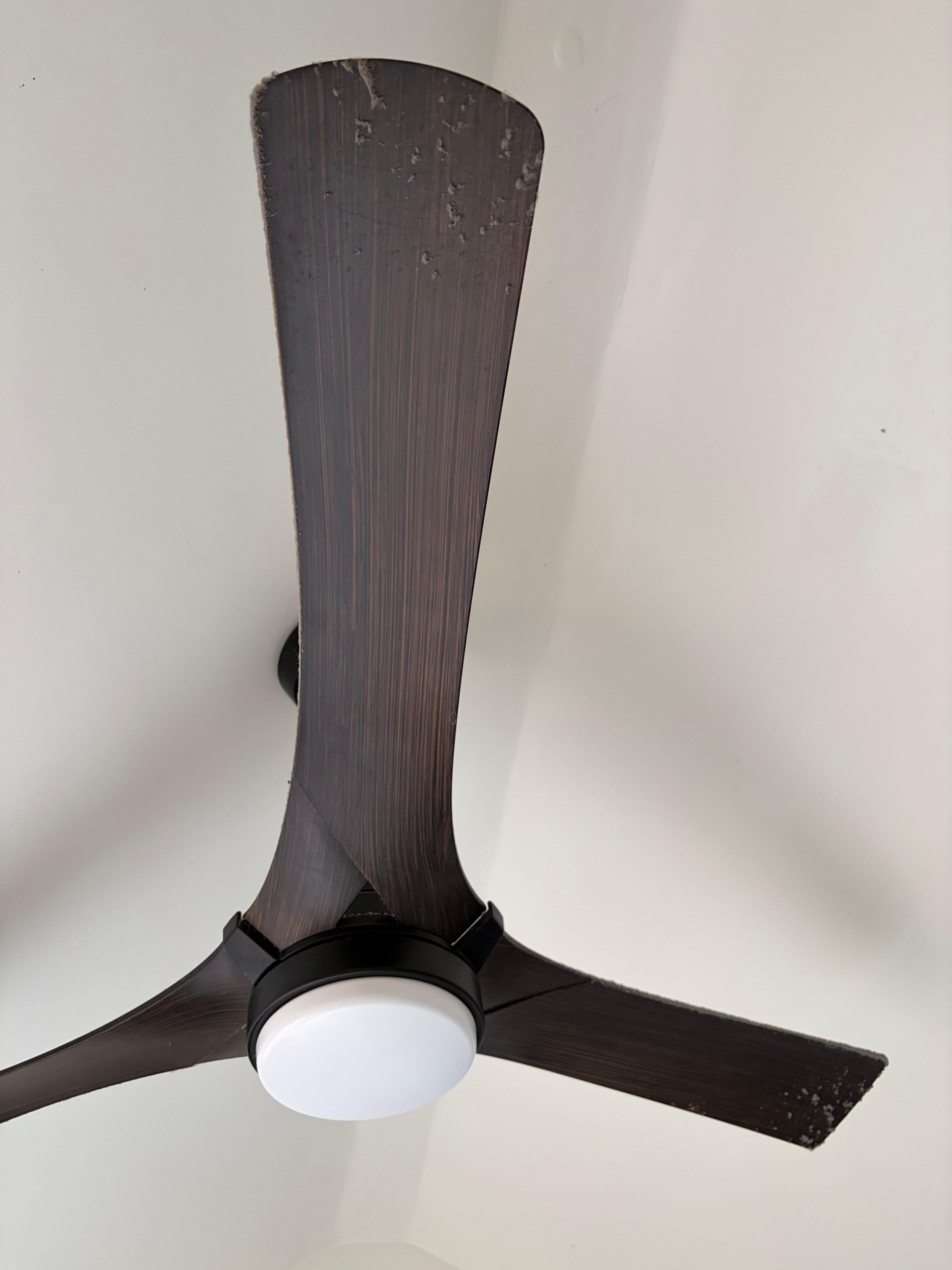 Dust on the ceiling fan 