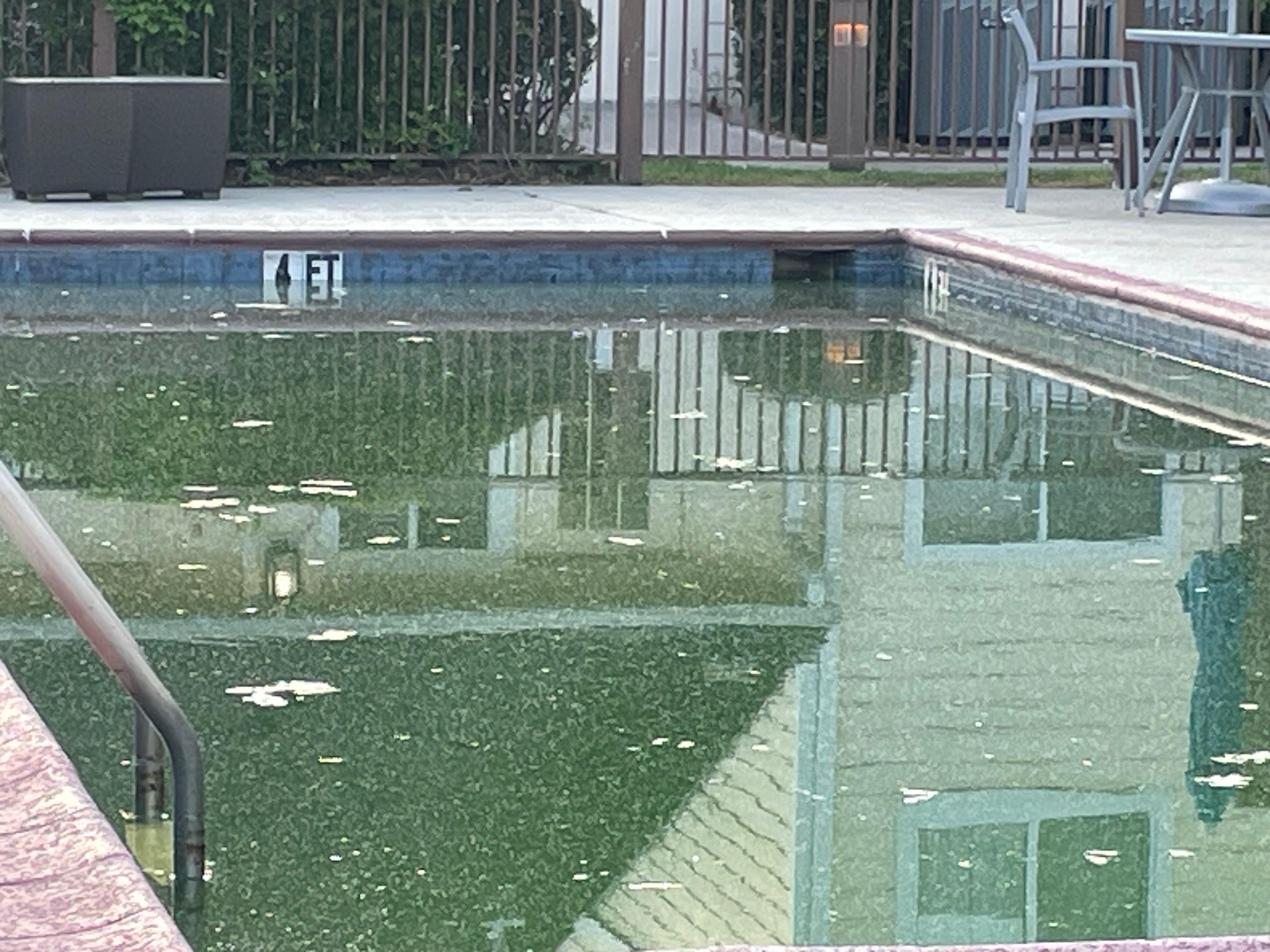 Terrible pool