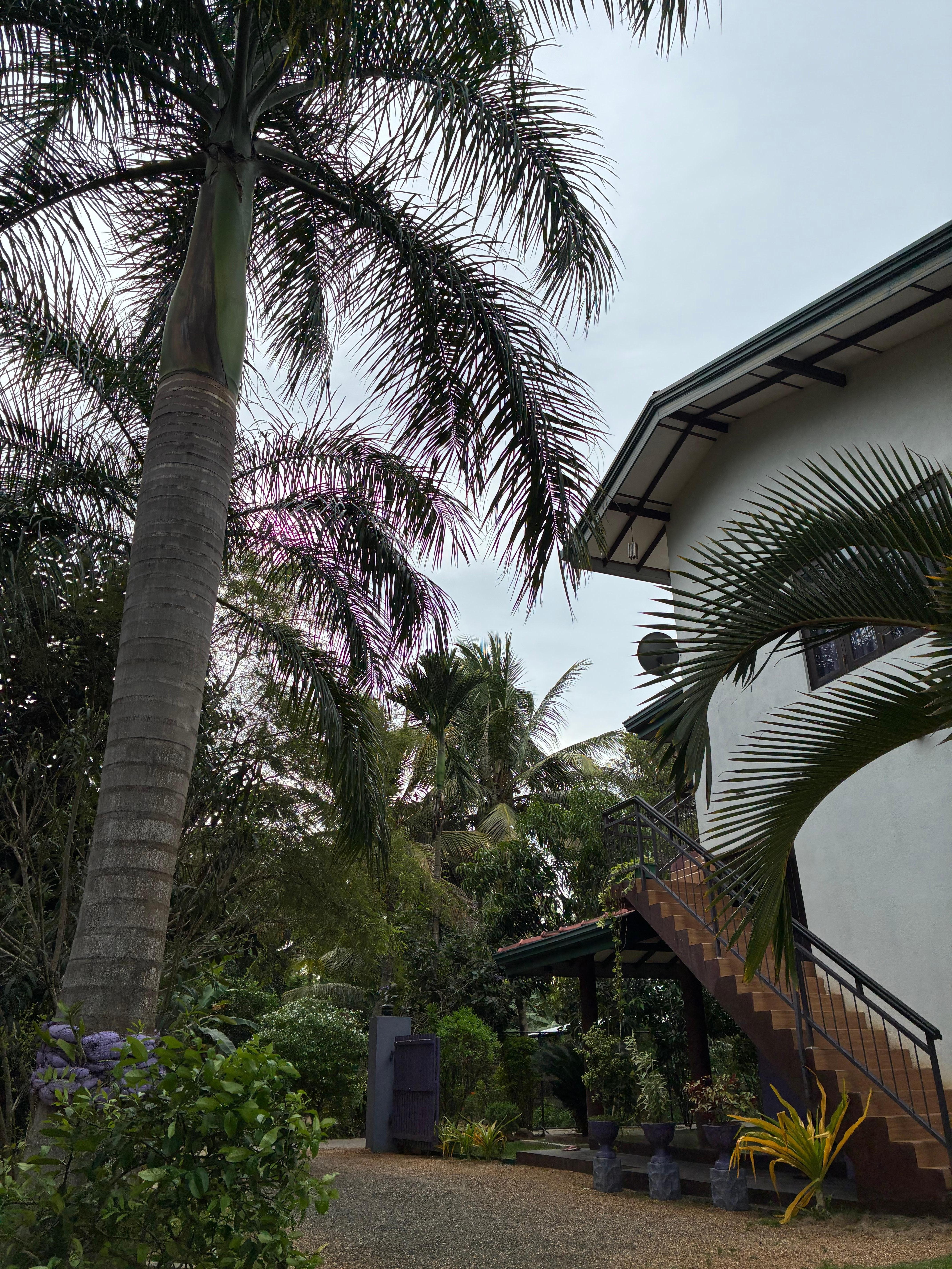 Front of the guest house