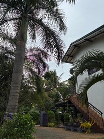 Front of the guest house