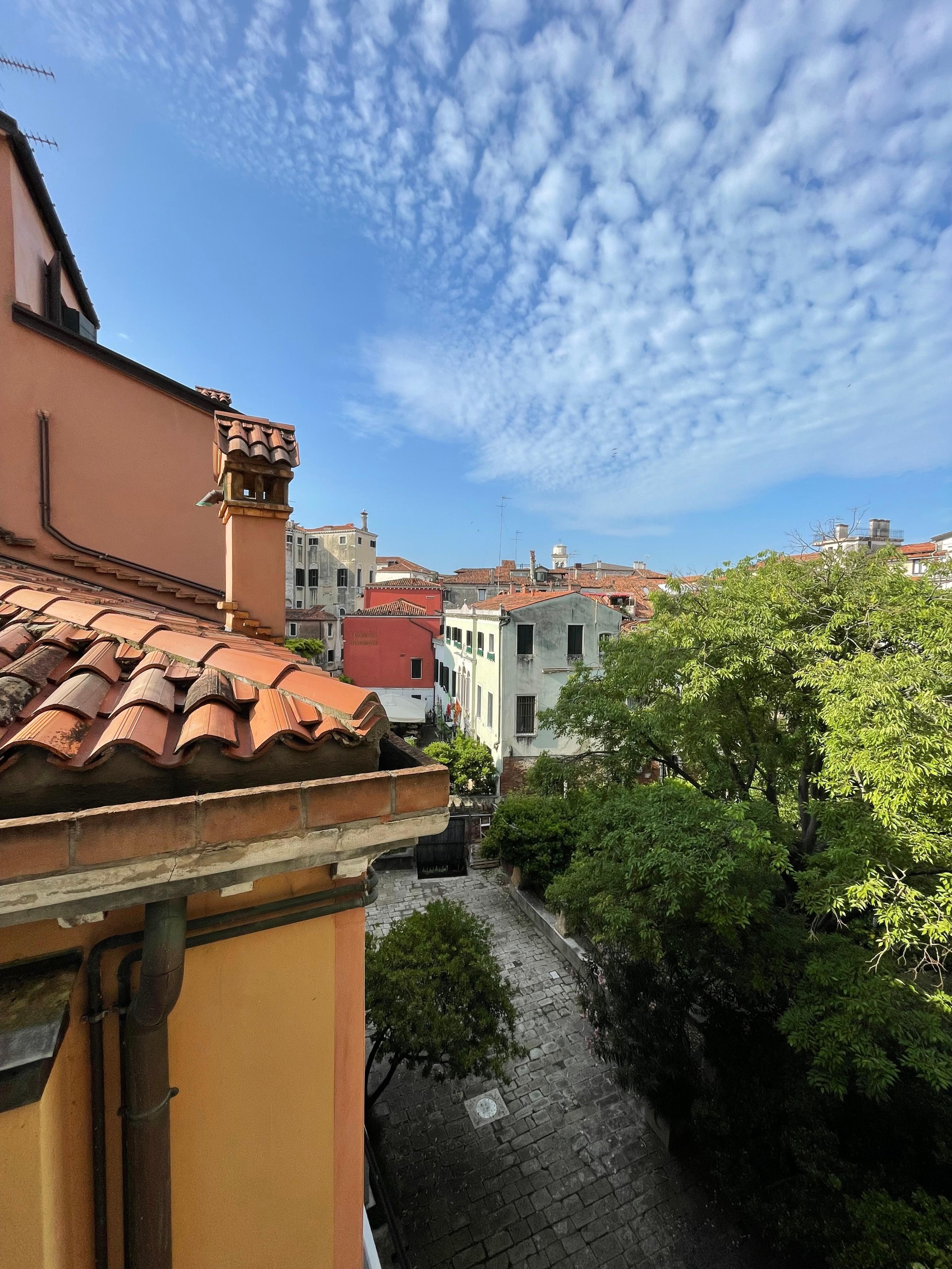 View from our kitchen 