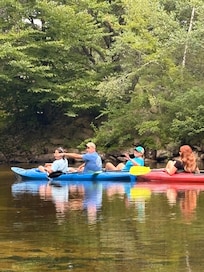 An afternoon exploring wildlife on the river