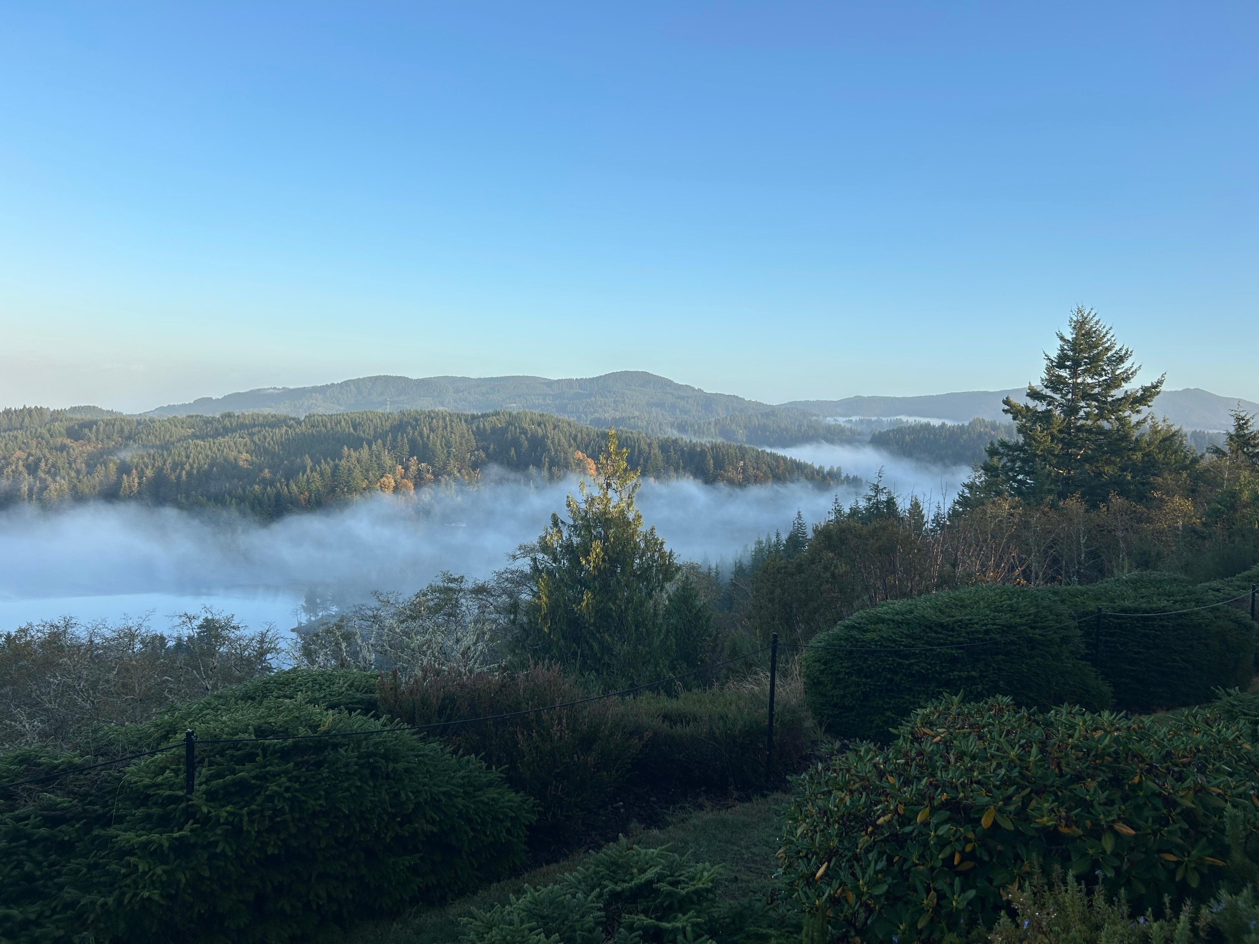 Early morning fog on the lake…a lovely view from the deck. 