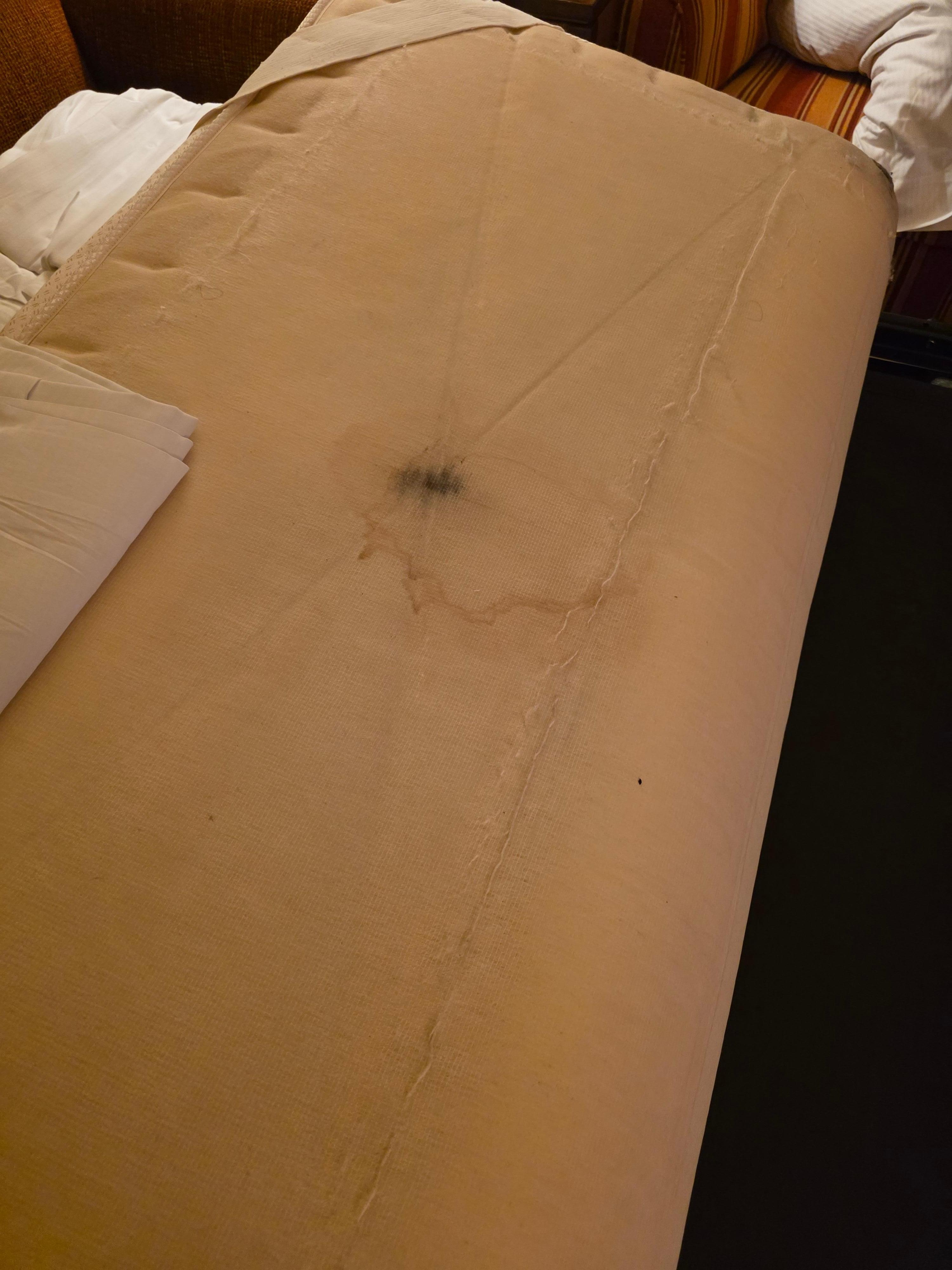 Only cleanliness issue we found was the pull out couch mattress underside. Likely needs replaced