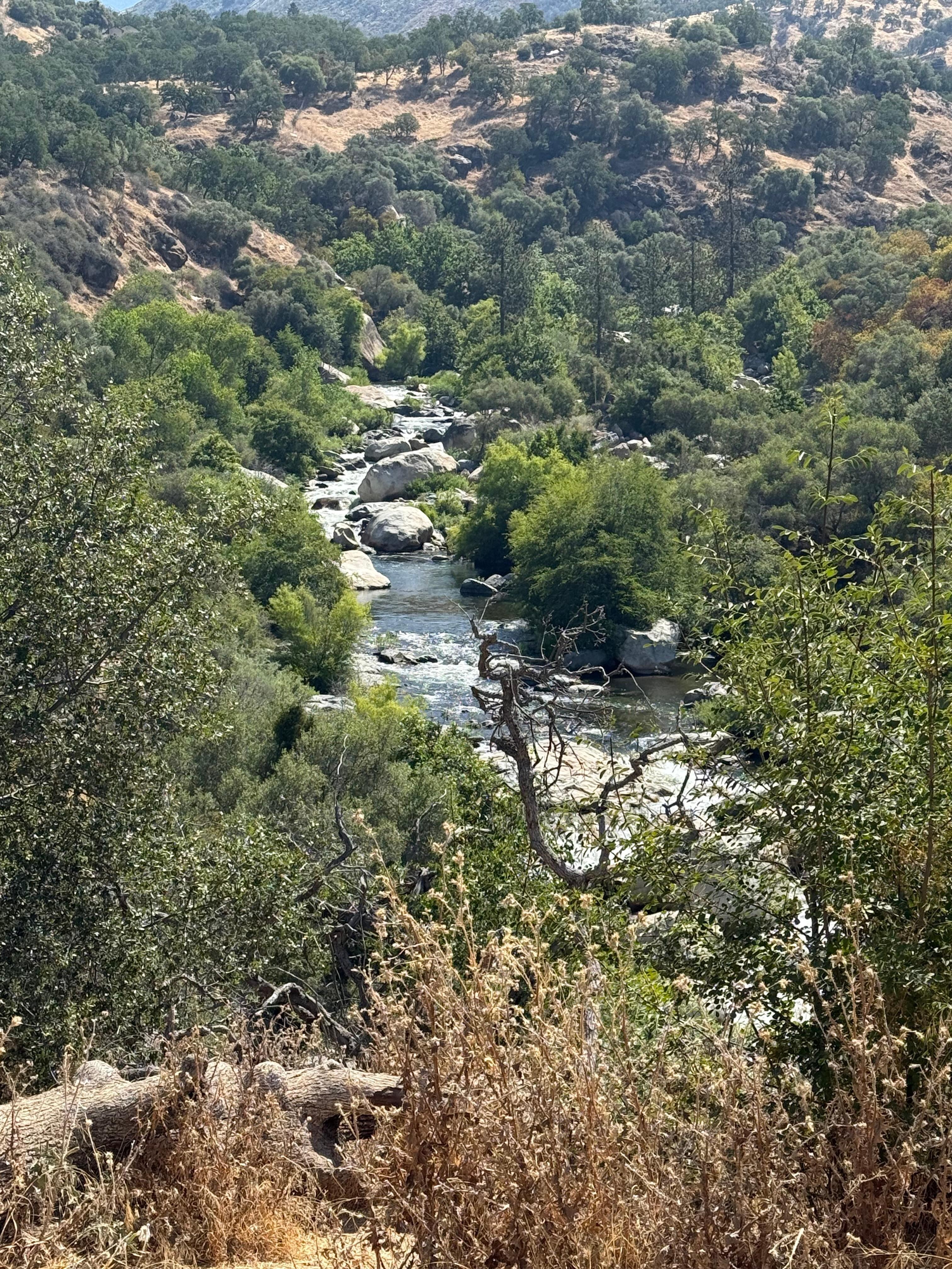 Sequoia national park 