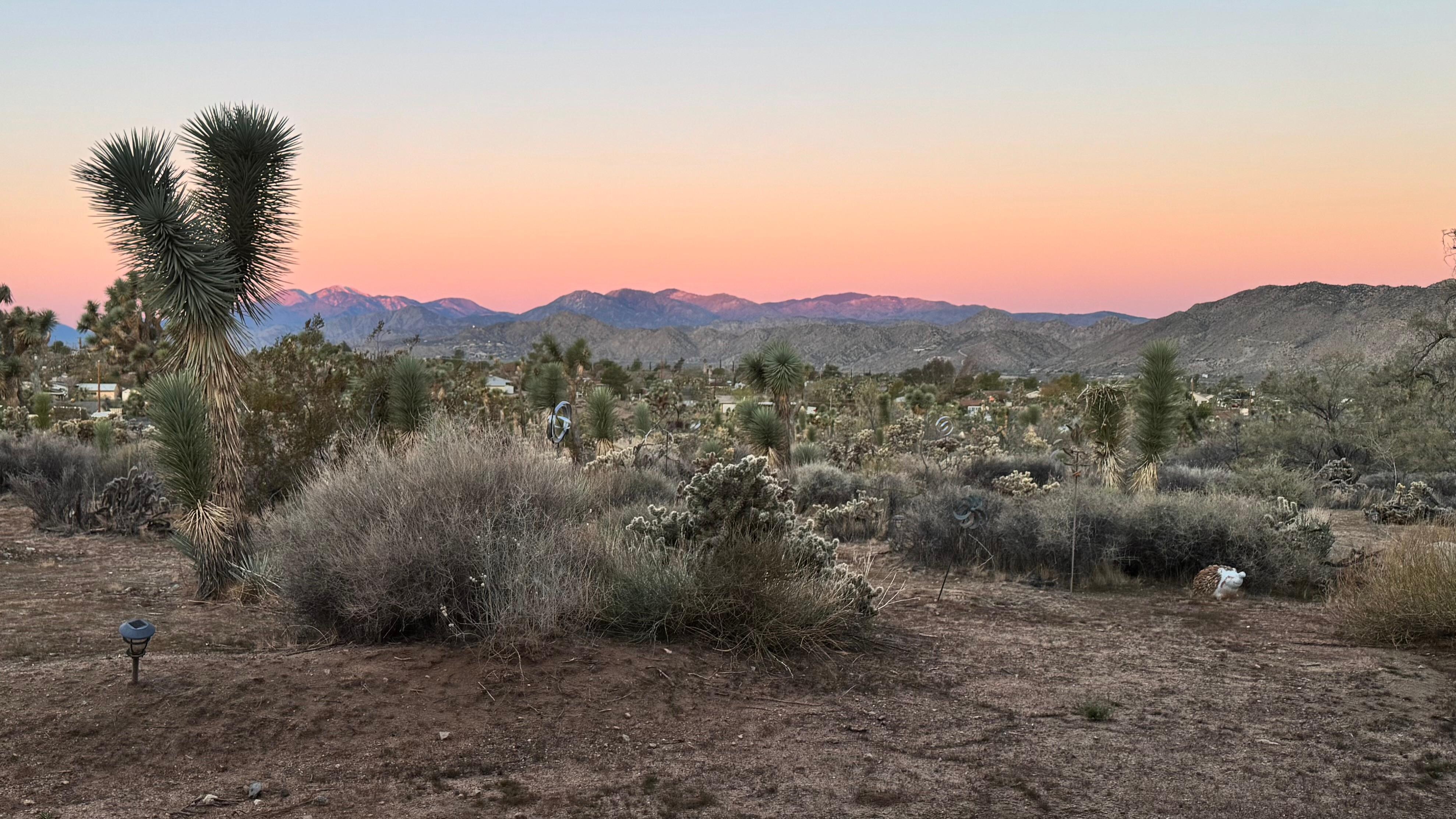 Gorgeous morning views 