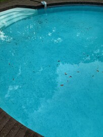 Still lots of debris in pool at the end of our stay.