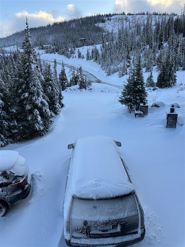 no snowplow was scheduled from the cabin to the main road.