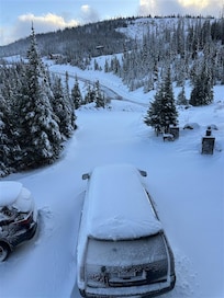 no snowplow was scheduled from the cabin to the main road.