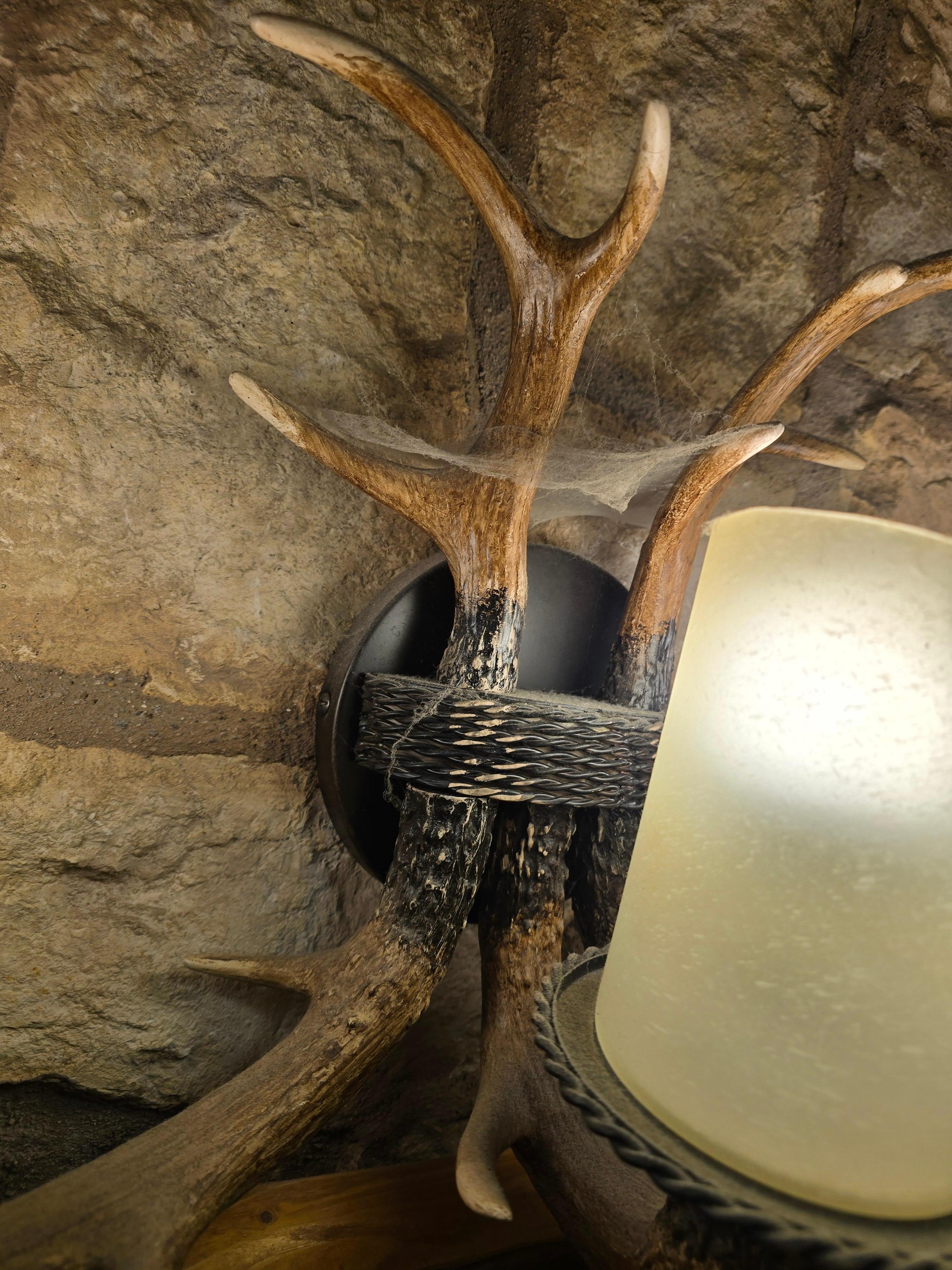 Spider webs throughout house