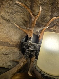 Spider webs throughout house